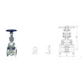 ANSI 165. B Valve en acier coulé API600 (Z40H)